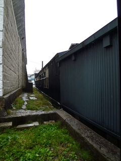 20101026 008.jpg